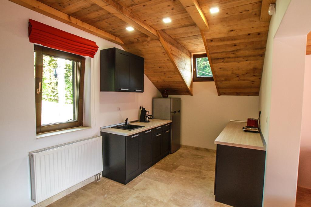 Vila Vista Szováta Kültér fotó