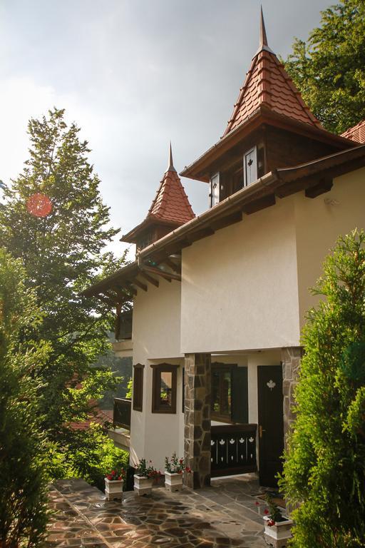 Vila Vista Szováta Kültér fotó
