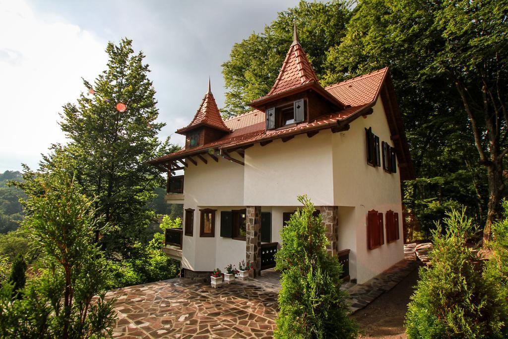 Vila Vista Szováta Kültér fotó